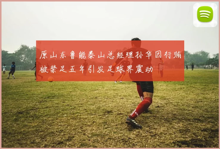 原山东鲁能泰山总经理孙华因行贿被禁足五年引发足球界震动