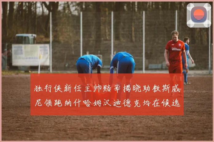 独行侠新任主帅赔率揭晓助教斯威尼领跑纳什哈姆汉迪德克均在候选之中